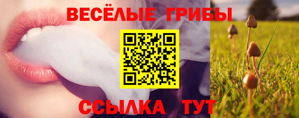Галлюциногенные грибы Psilocybine cubensis Лениногорск